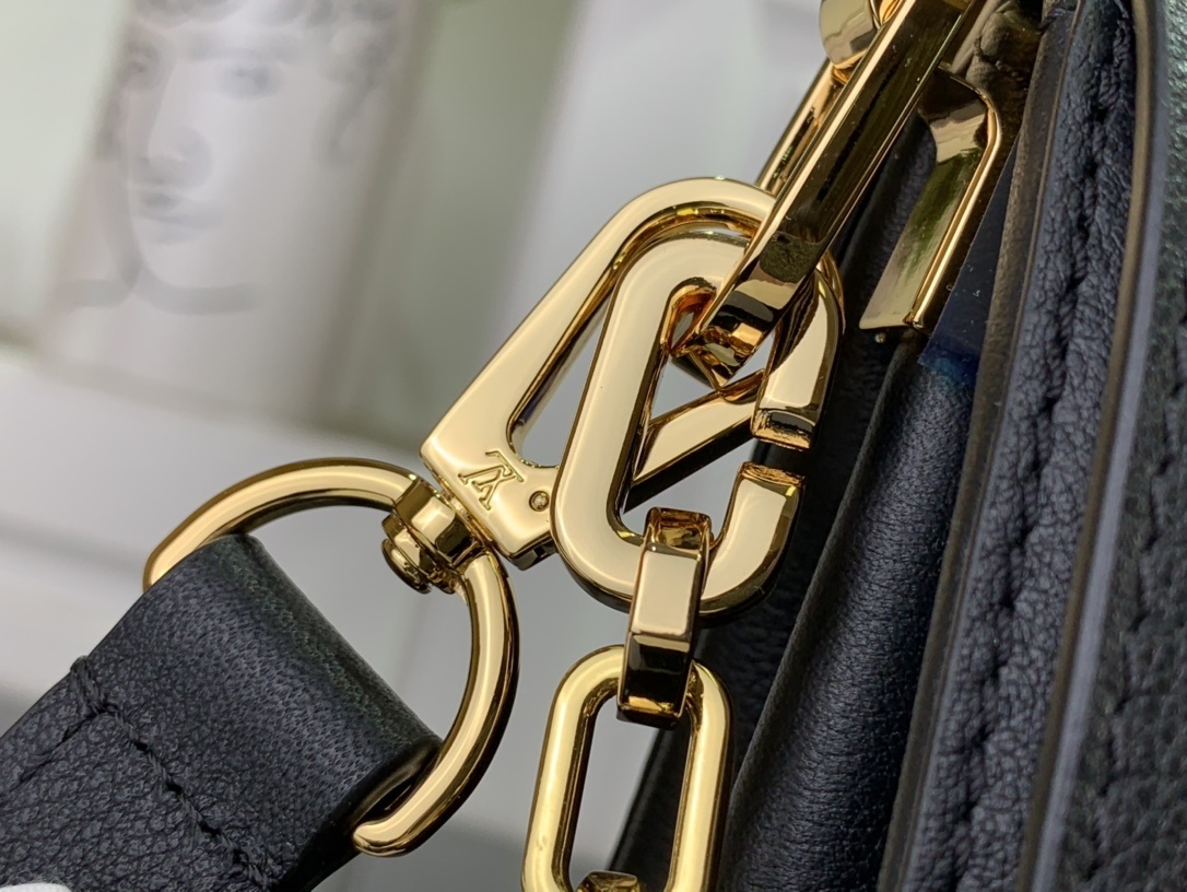 LV DAUPHINE SOFT M25209