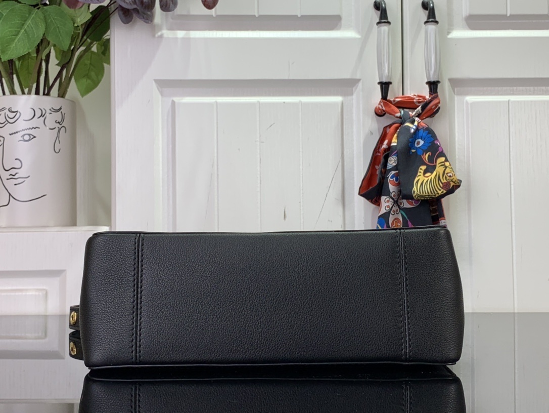 LV DAUPHINE SOFT M25209