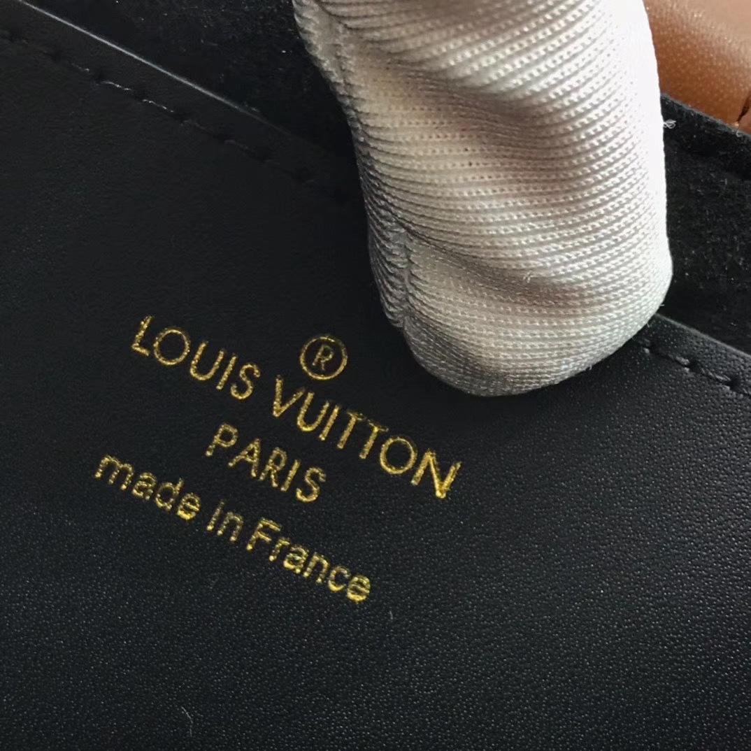 LV DAUPHINE wallet M68751