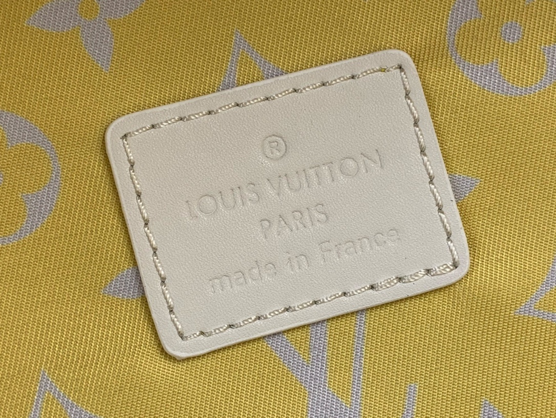 LV Discovery Backpack m14673 