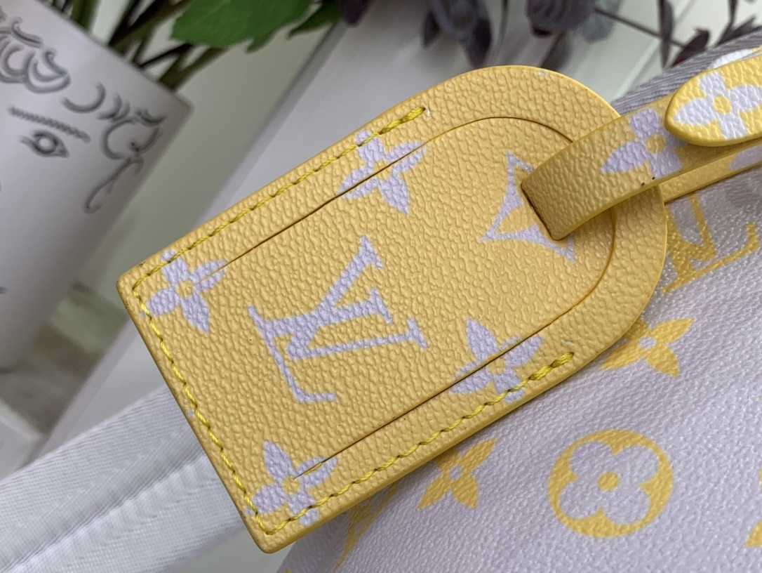 LV Discovery Backpack m14673 