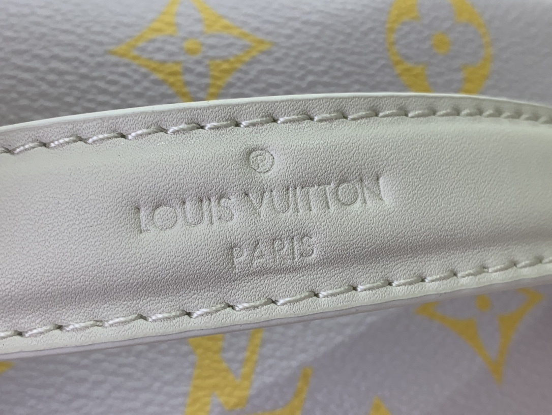 LV Discovery Backpack m14673 