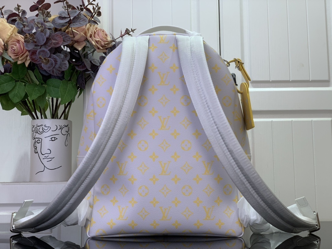 LV Discovery Backpack m14673 