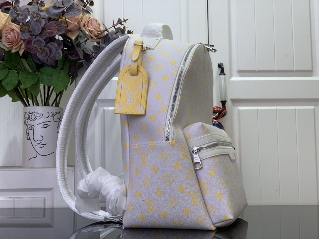 LV Discovery Backpack m14673 