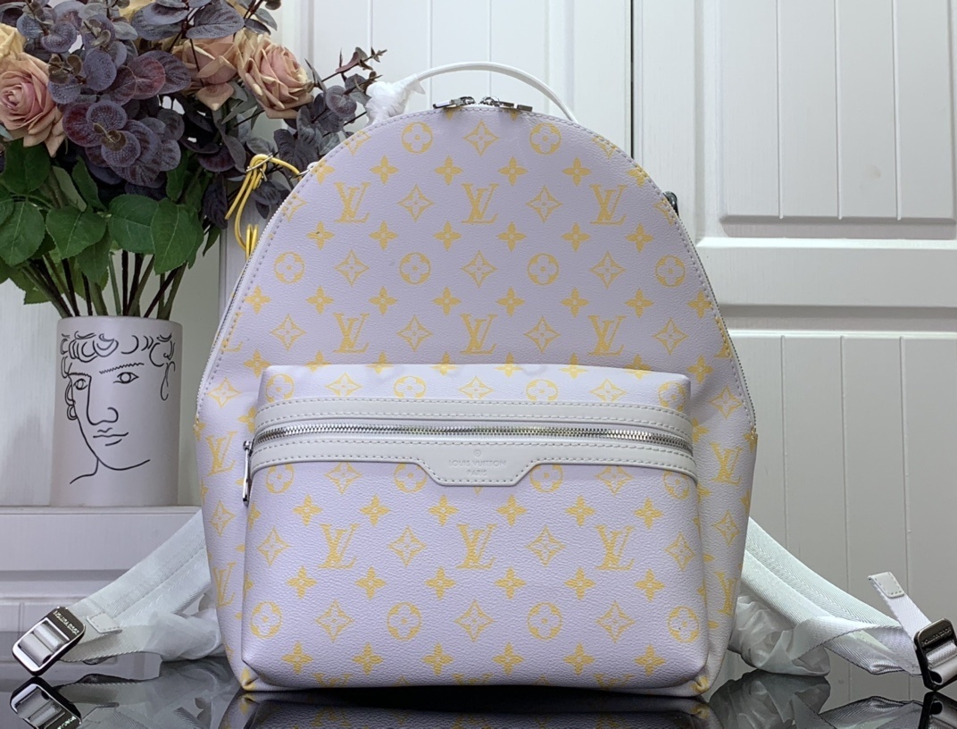 LV Discovery Backpack m14673 