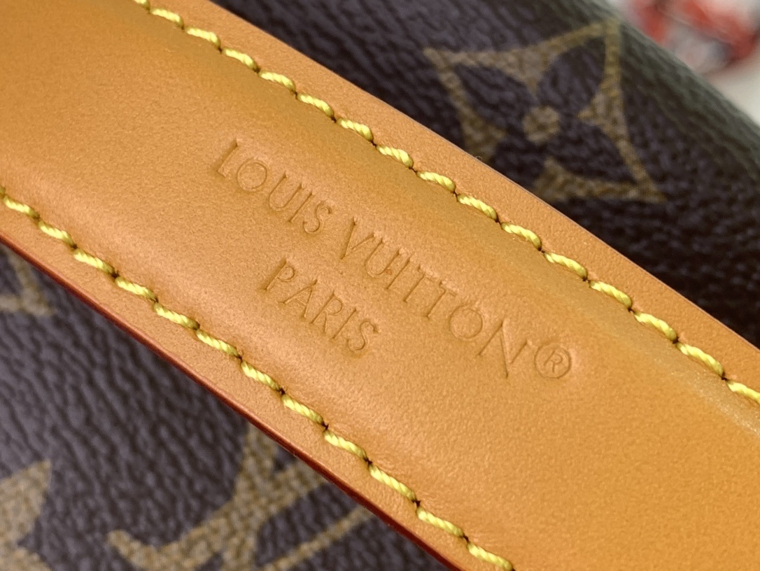 LV DISCOVERY CARGO m25979