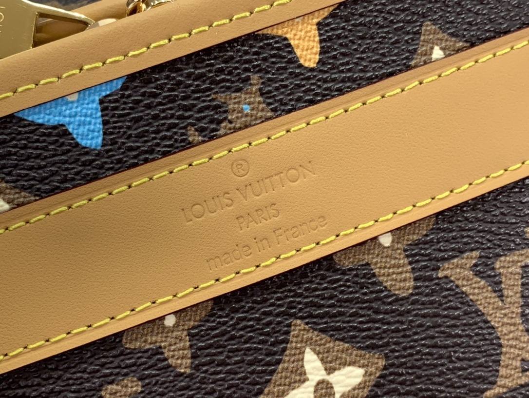 LV Dog bag M47066