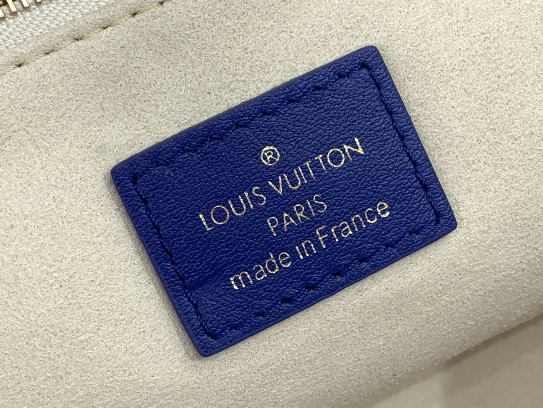 LV DUST BAG TOTE m15235