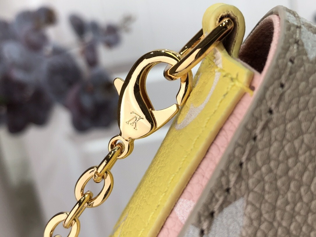 LV FELICIE POCHETTE M81359