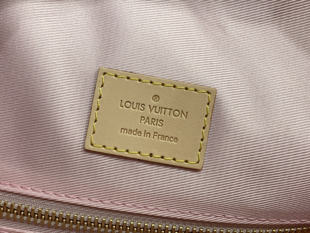 LV GRACEFUL N42233