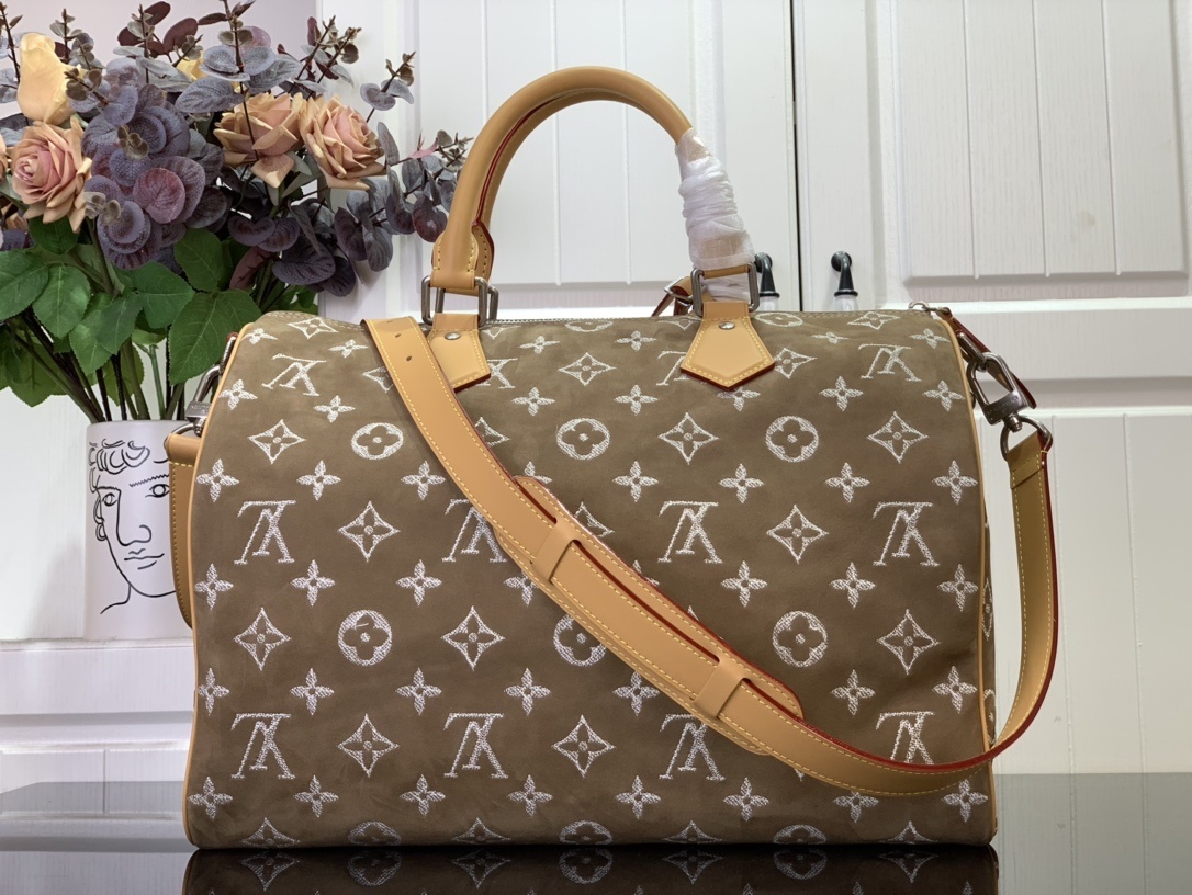 LV Handbag M11569