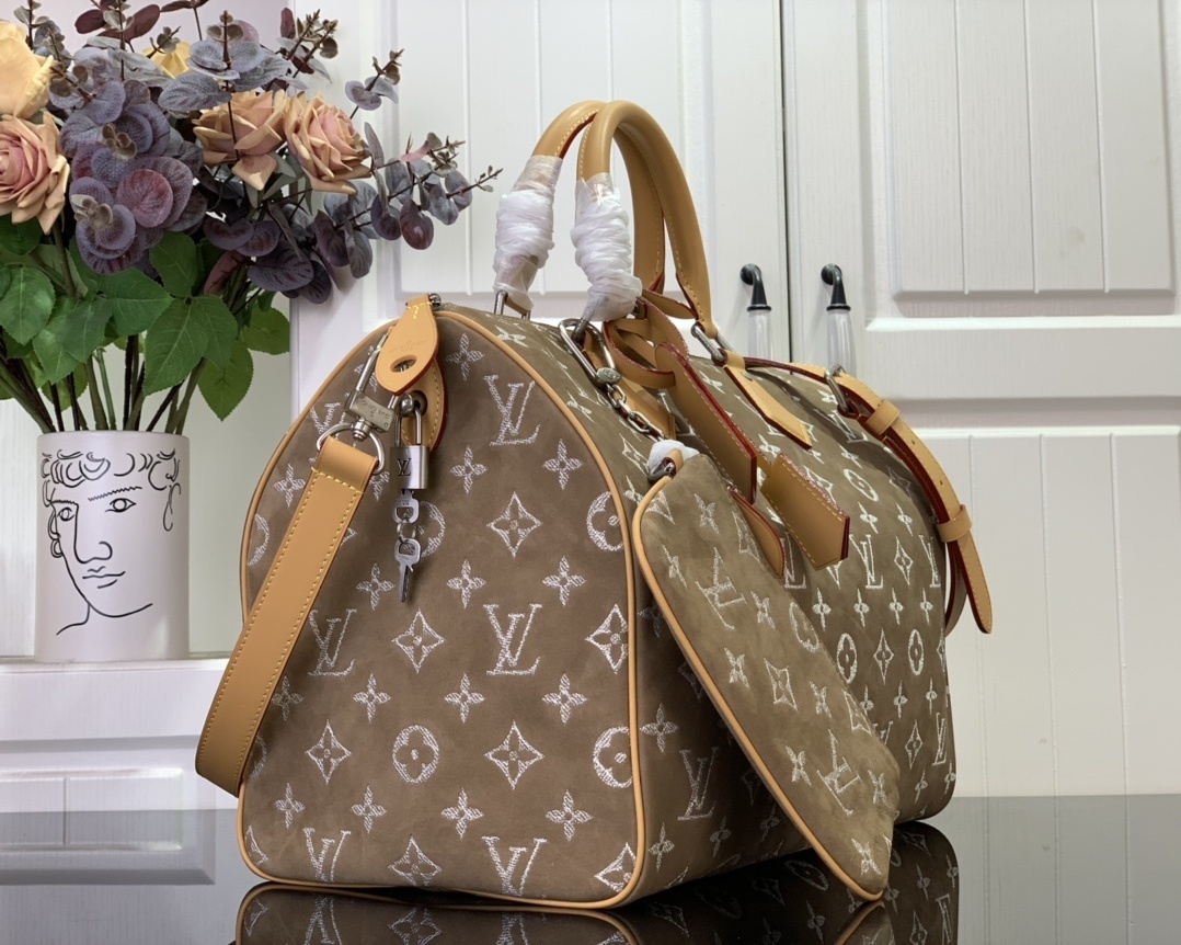 LV Handbag M11569