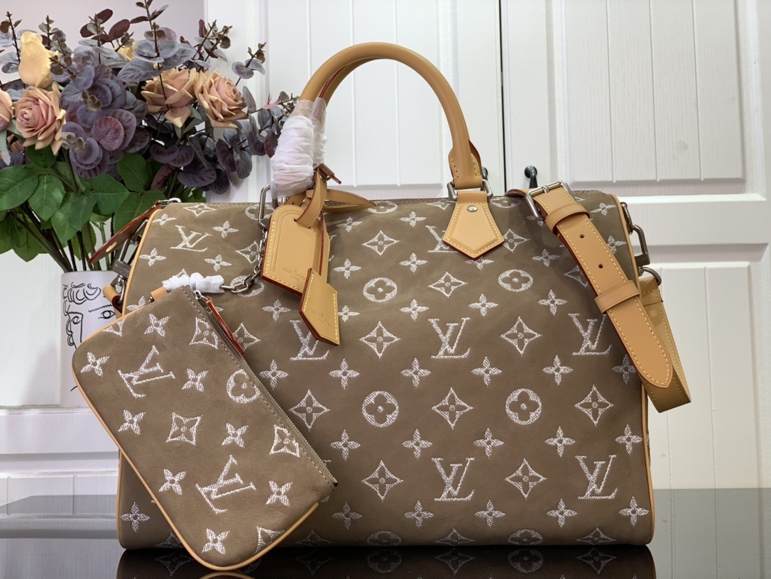 LV Handbag M11569