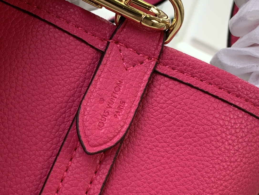 LV Handbag m12099