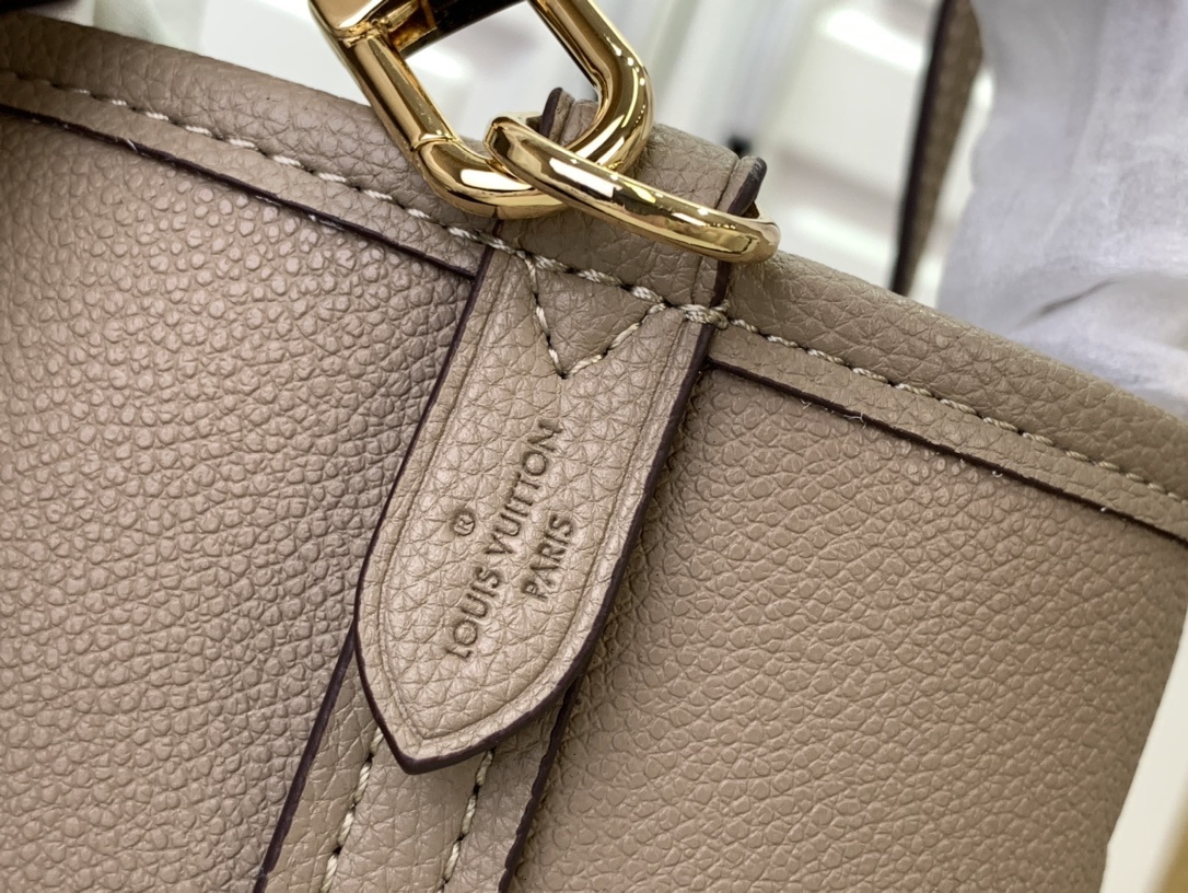 LV Handbag m12099