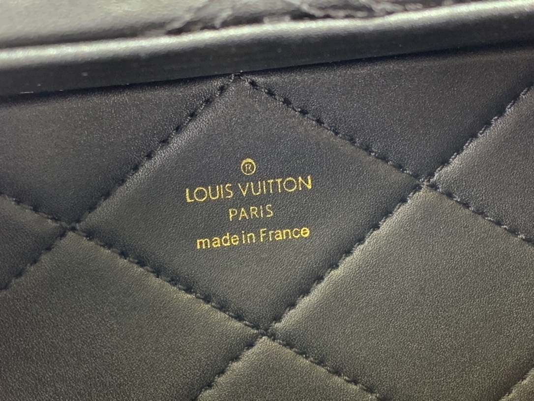 LV Handbag M20469