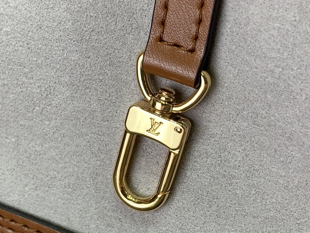 LV Handbag m21352