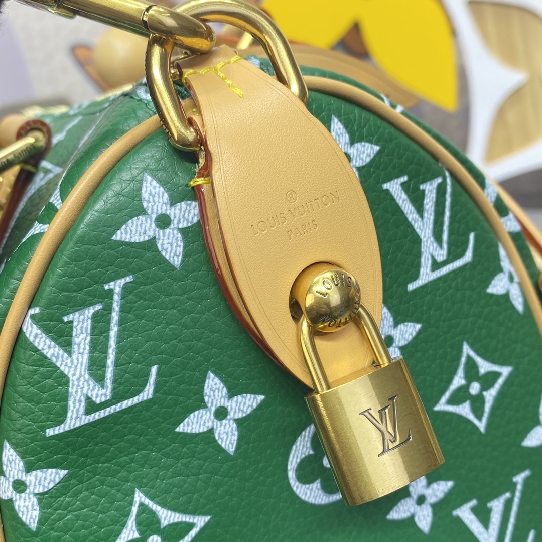 LV Handbag M24443
