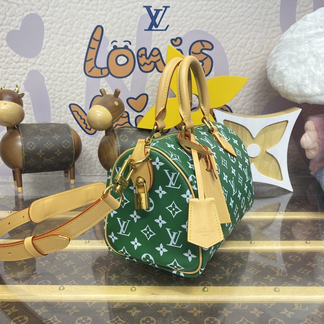 LV Handbag M24443