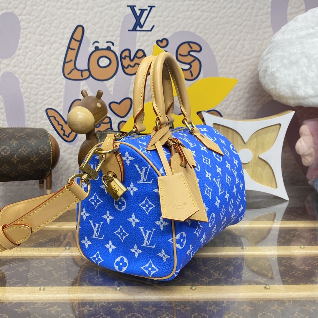 LV Handbag M24443