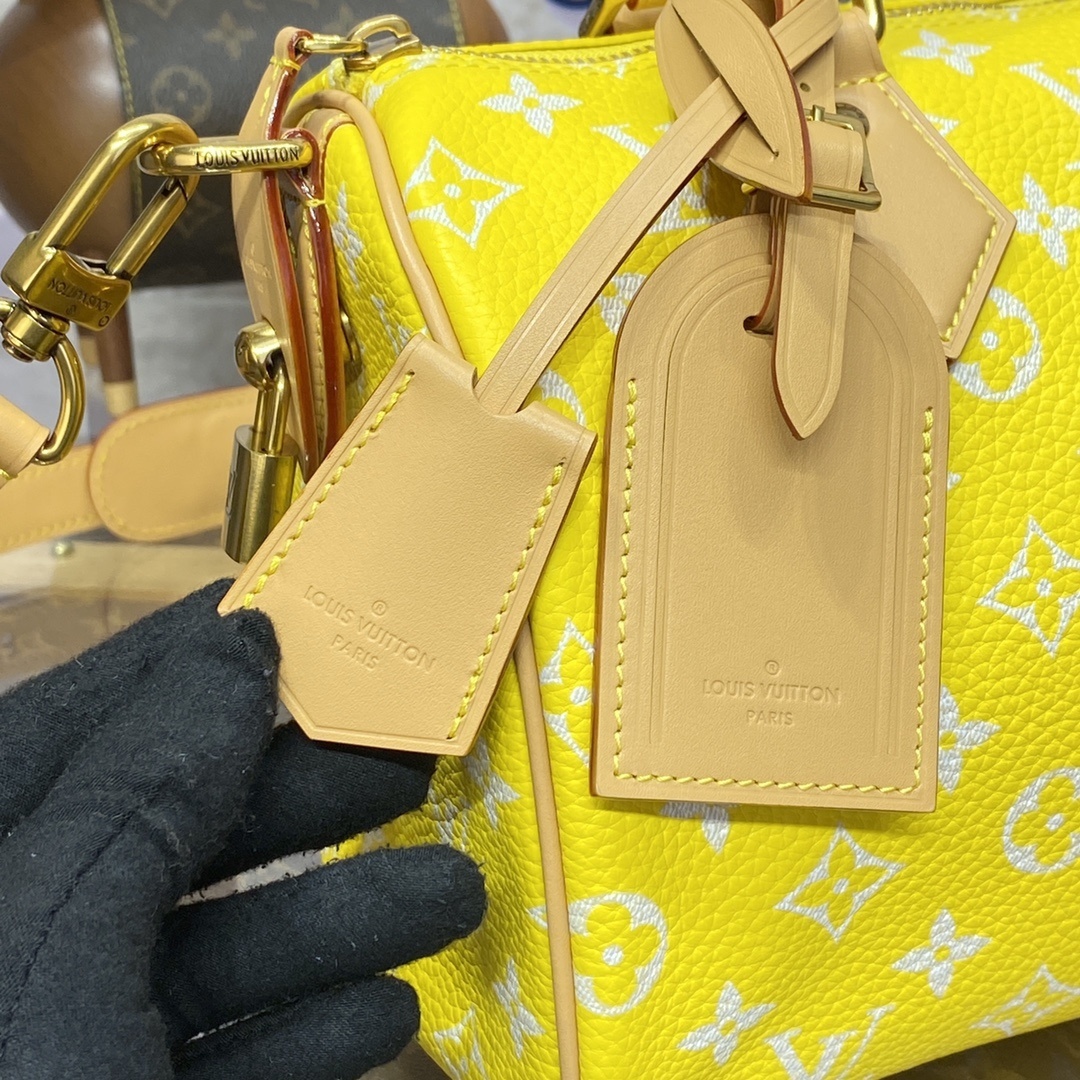LV Handbag M24443