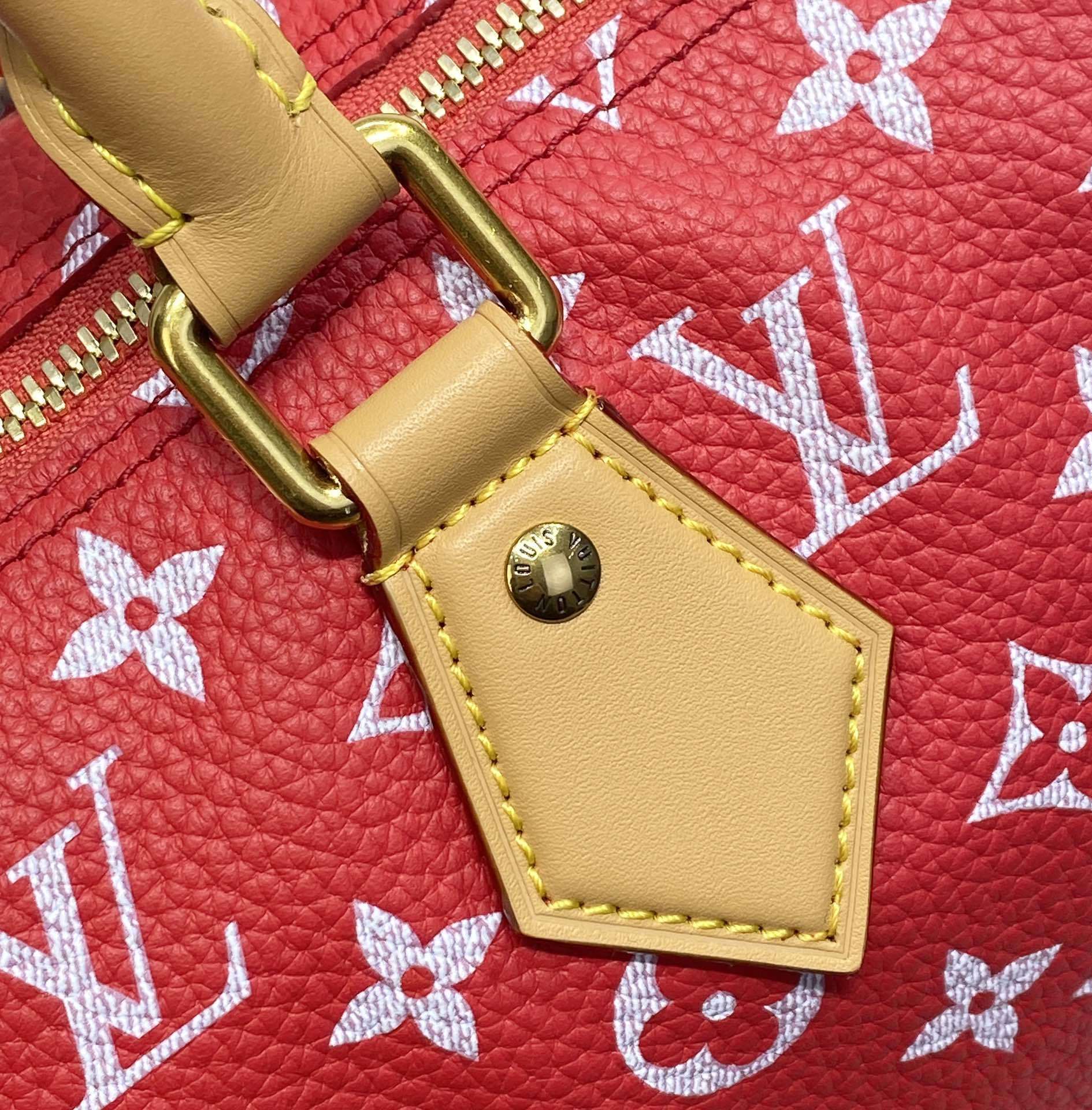 LV Handbag M24443