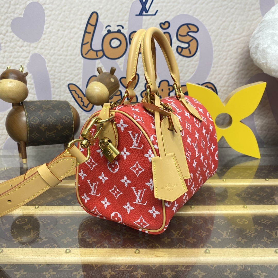 LV Handbag M24443