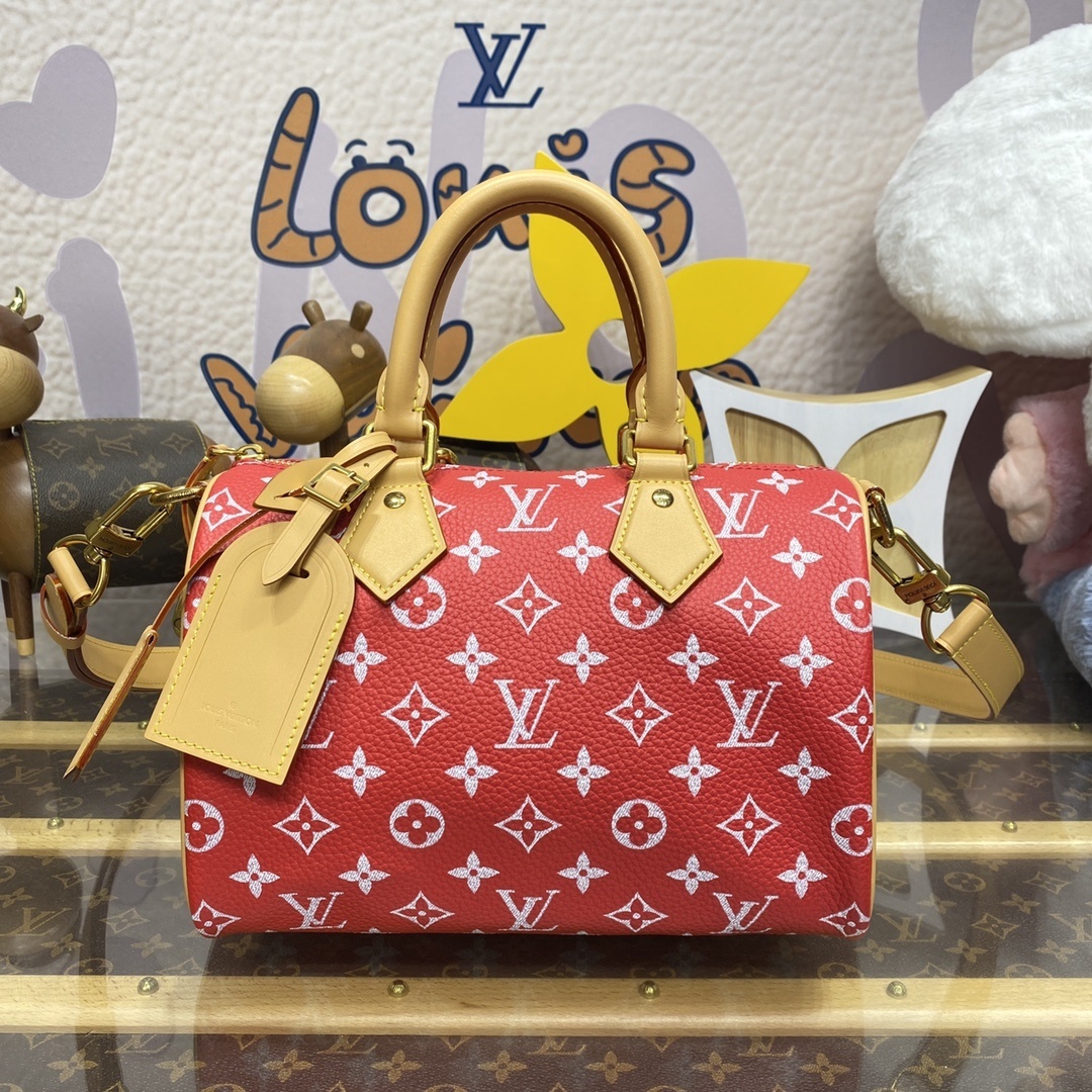 LV Handbag M24443