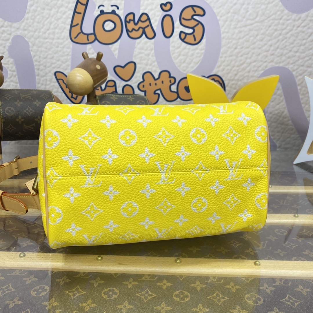 LV Handbag M24443