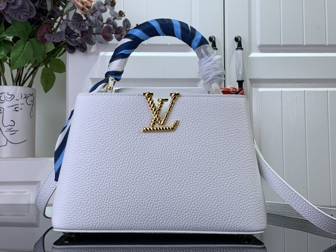 LV Handbag M24673