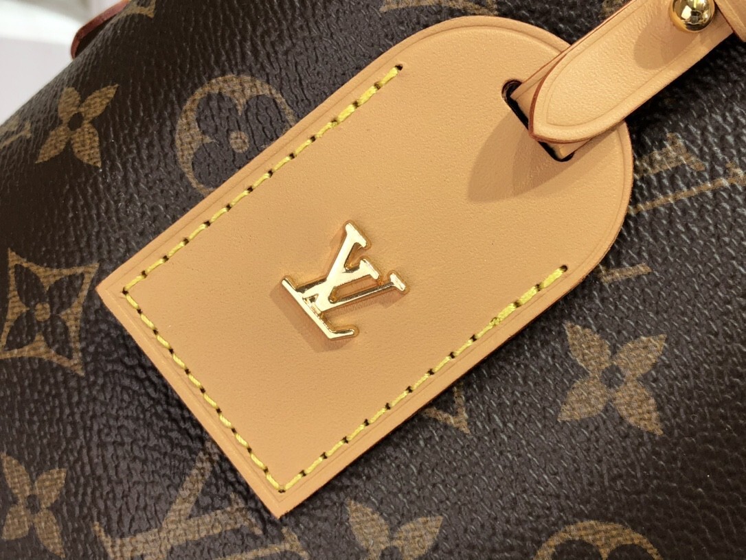 LV Handbag M46203