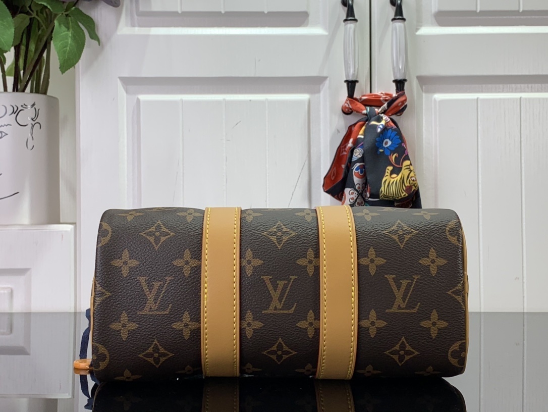 LV Handbag M46687