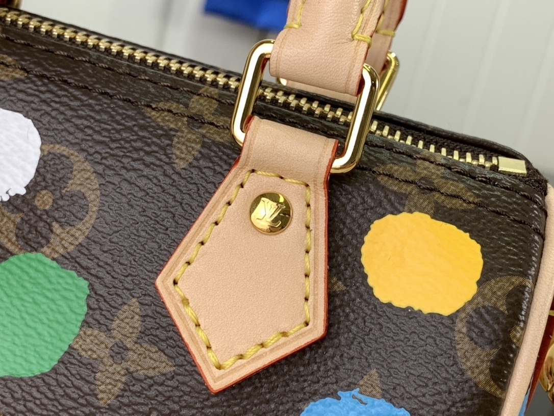 LV Handbag m81979