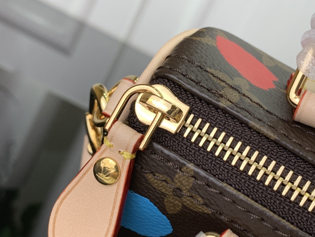 LV Handbag m81979