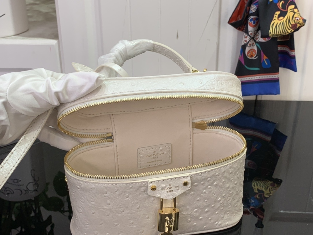 LV Handbag N85820