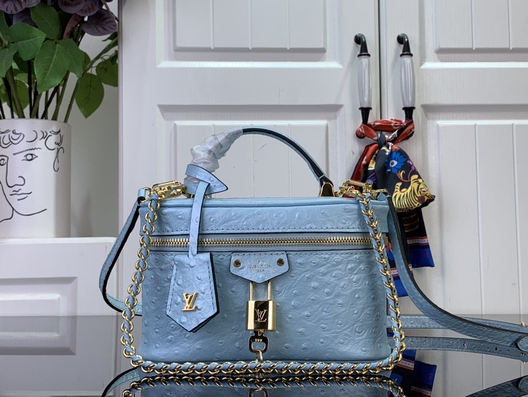 LV Handbag N85820