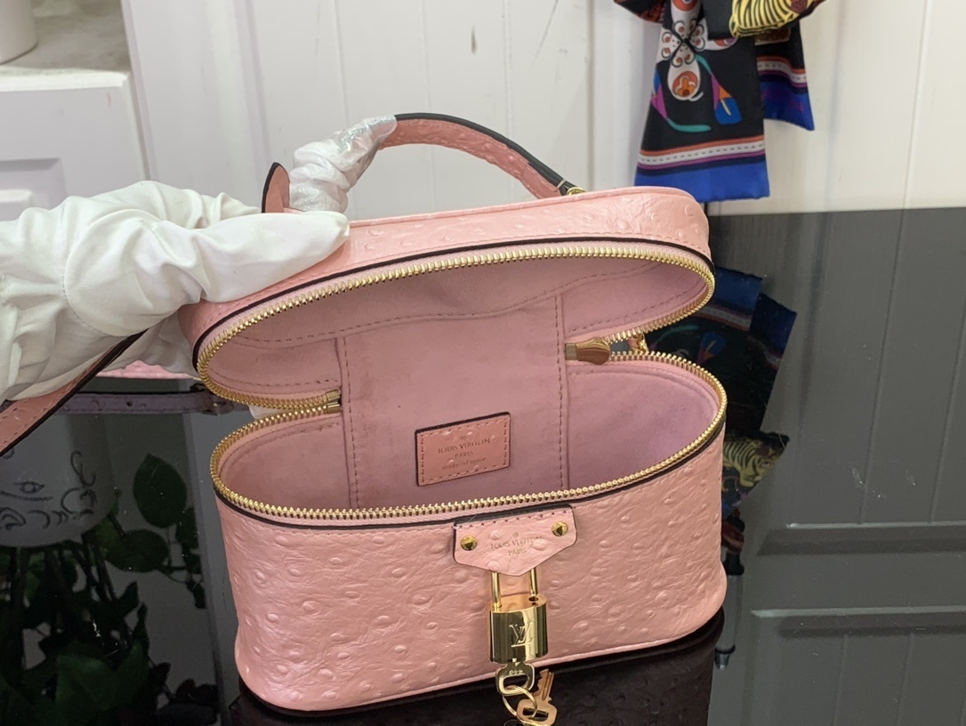 LV Handbag N85820