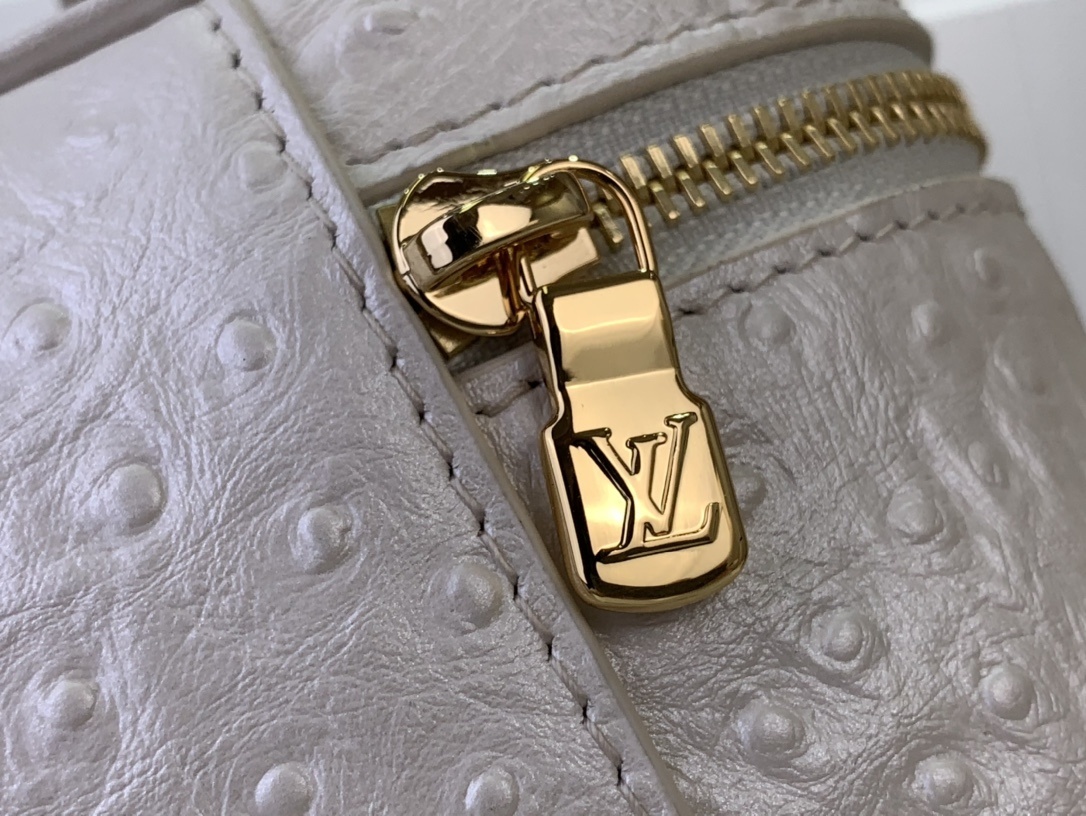 LV Handbag N85820