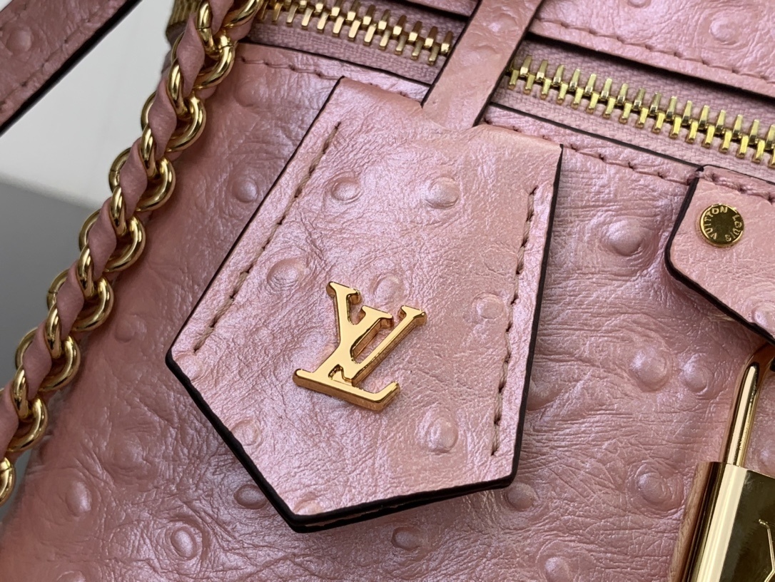 LV Handbag N85820