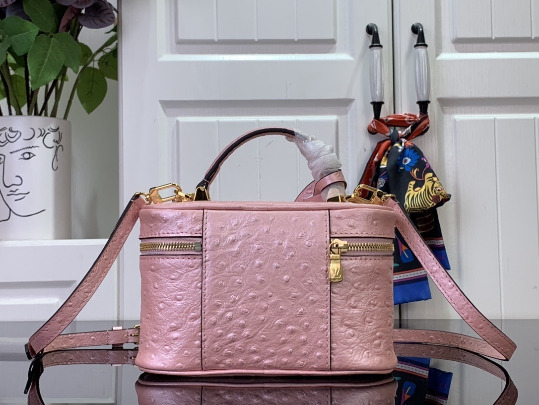 LV Handbag N85820
