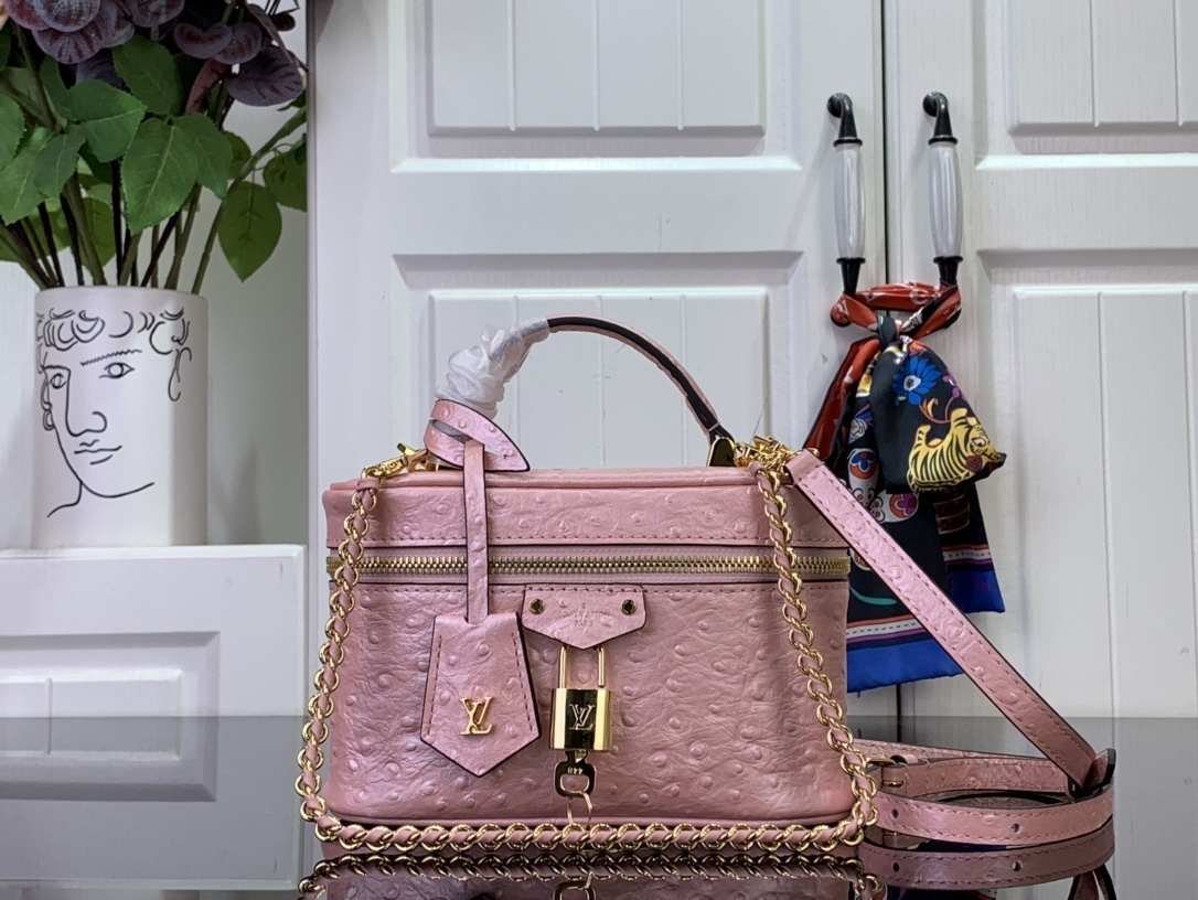LV Handbag N85820