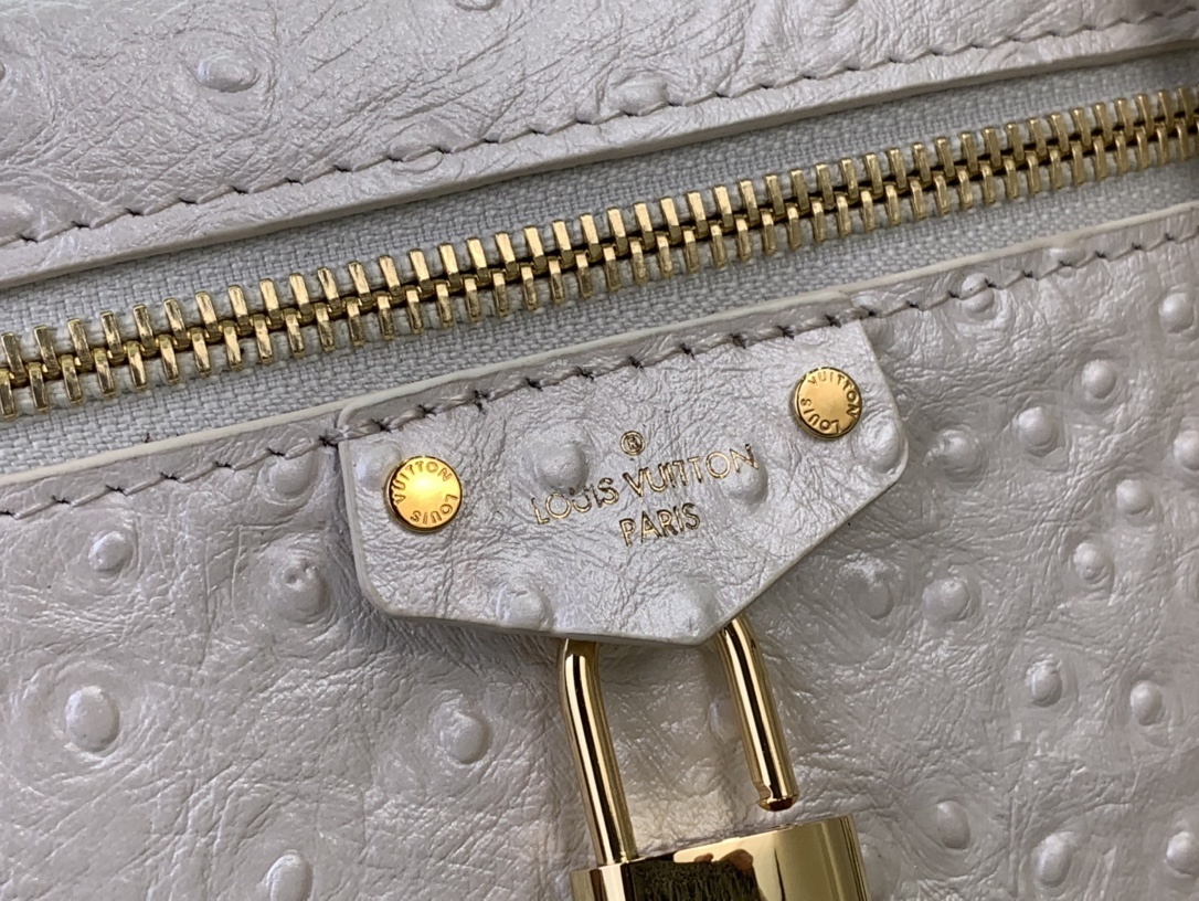 LV Handbag N85820