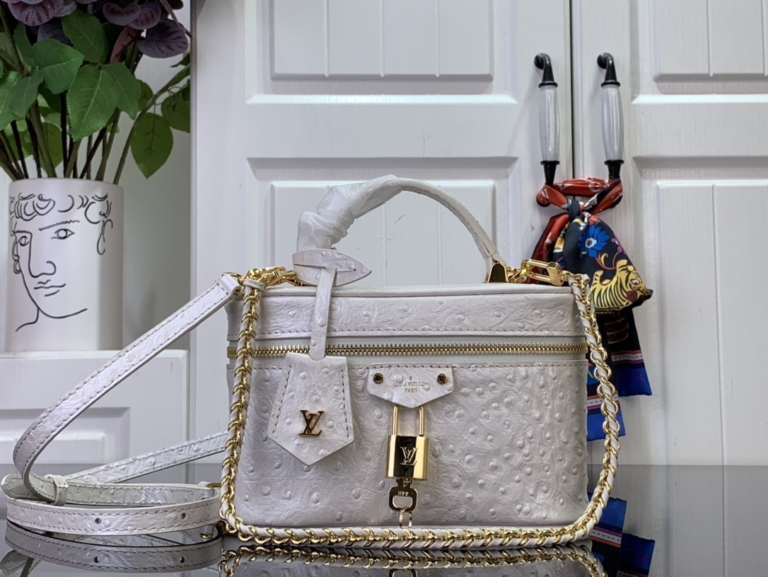 LV Handbag N85820