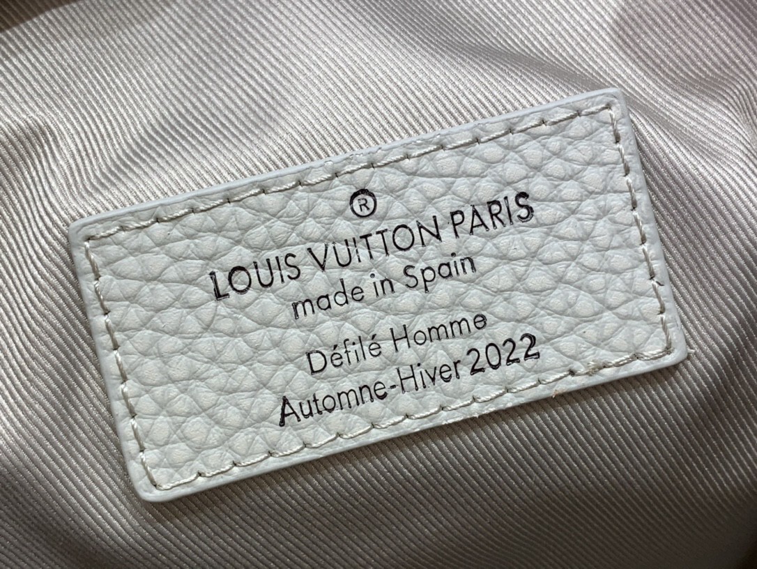 LV HOBO CRUISER PM M20875