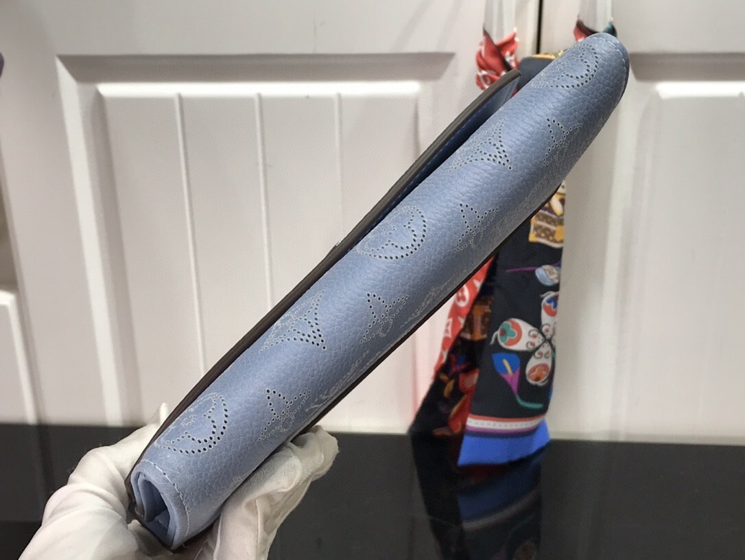 LV IRIS wallet M60143