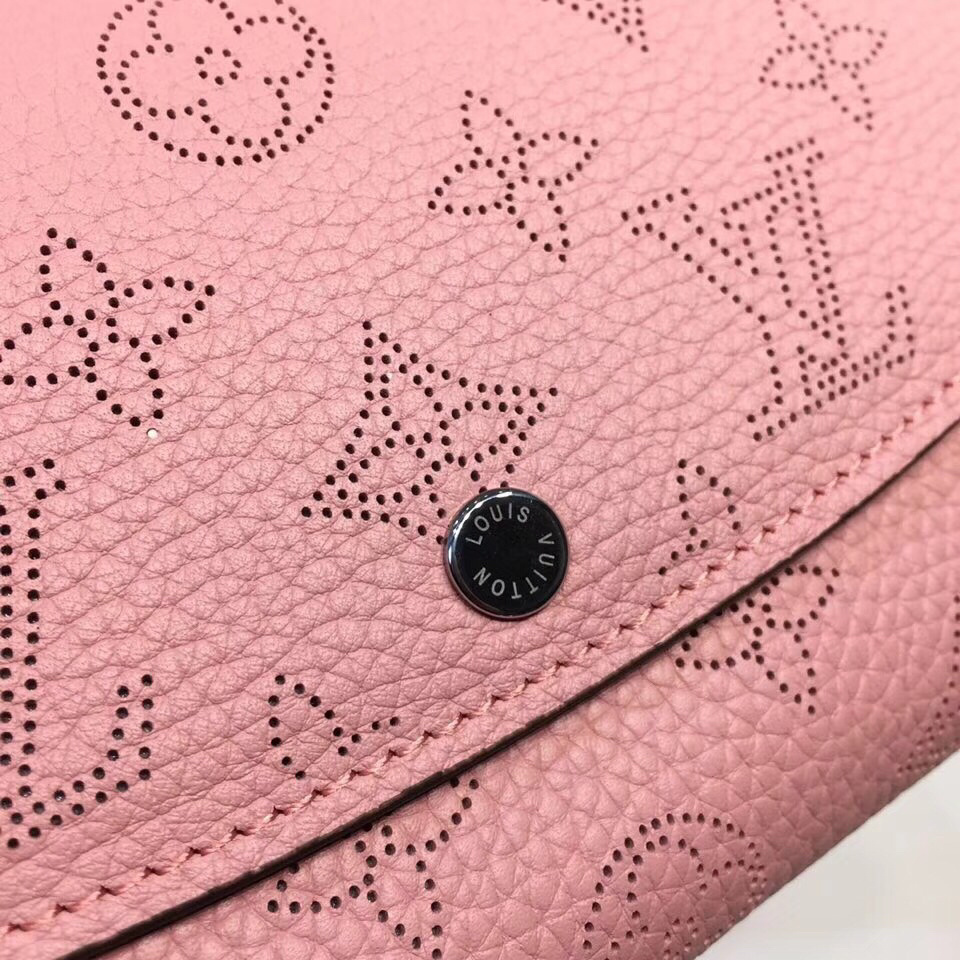 LV IRIS wallet M60145