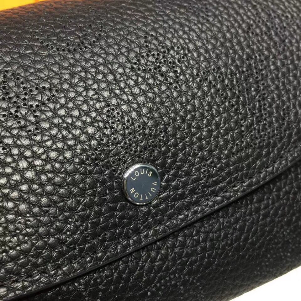 LV IRIS wallet M60145