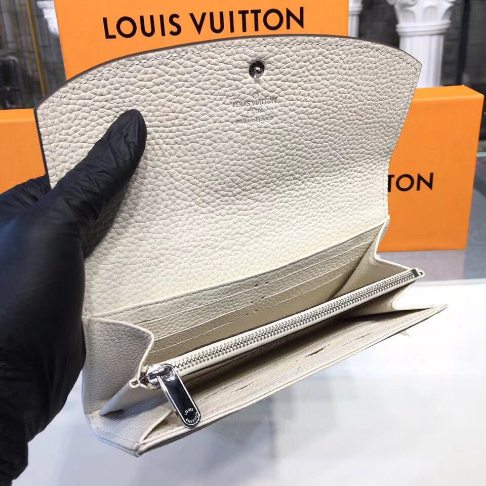 LV IRIS wallet M60145