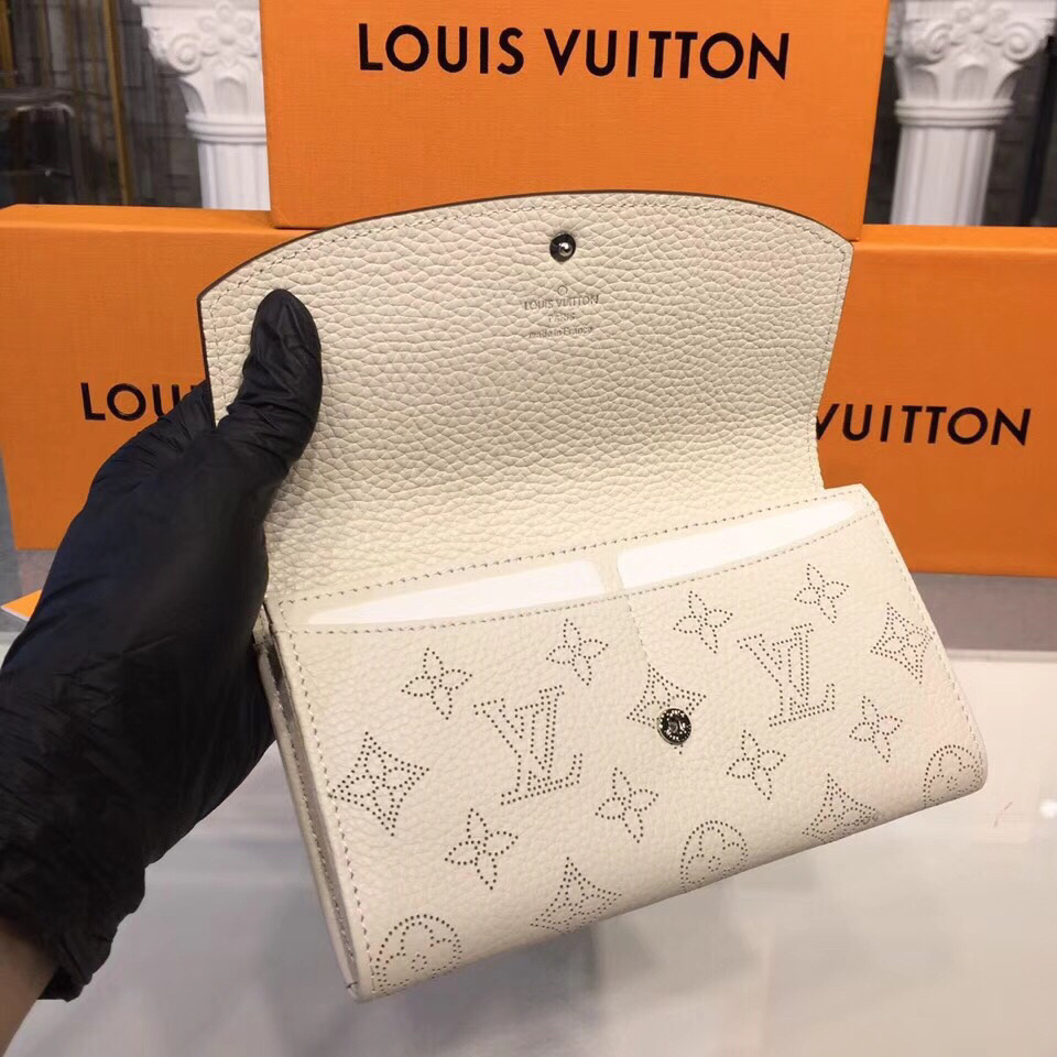 LV IRIS wallet M60145
