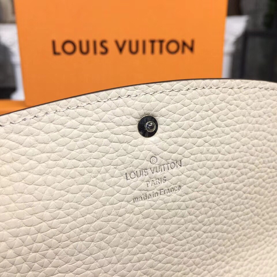 LV IRIS wallet M60145